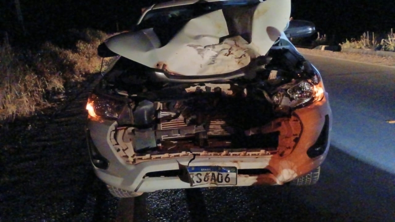 Noticia acidente-na-mt-170-em-juruena-mt-motorista-colide-com-animal-na-pista