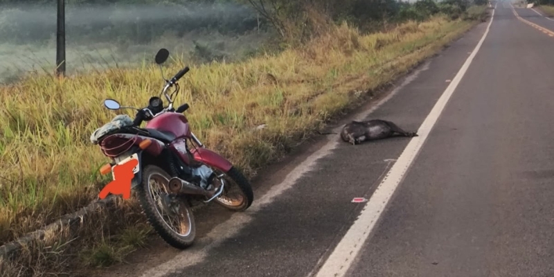 Noticia a-acidente-envolvendo-uma-motocicleta-foi-registrado-na-mt-170-proximo-a